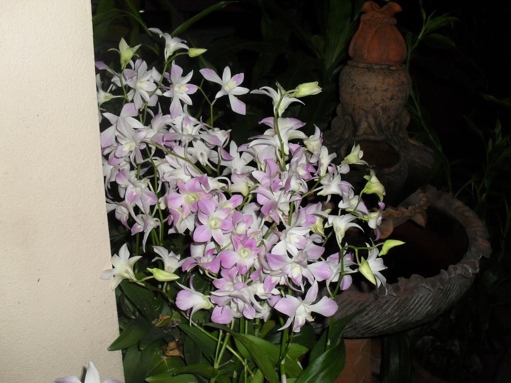Your House 3 Guest House Chiang Mai Luaran gambar